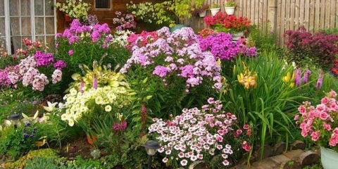 Kako napraviti cvjetnjak bez korova